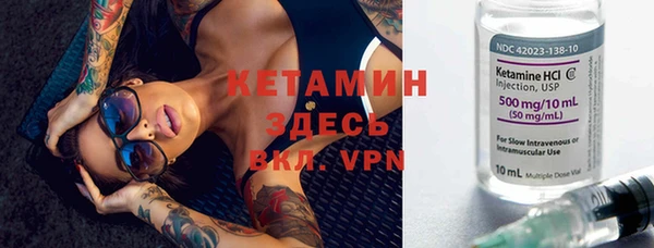 гашик Алексин