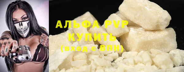 гашик Алексин
