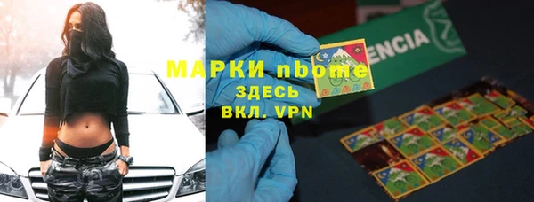 гашик Алексин