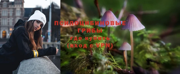 а пвп мука Карталы