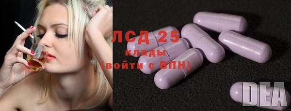 гашик Алексин