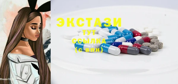 гашик Алексин