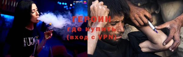 гашик Алексин