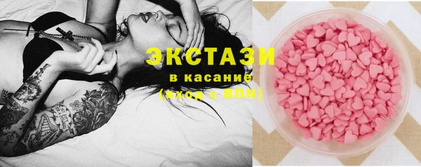 гашик Алексин