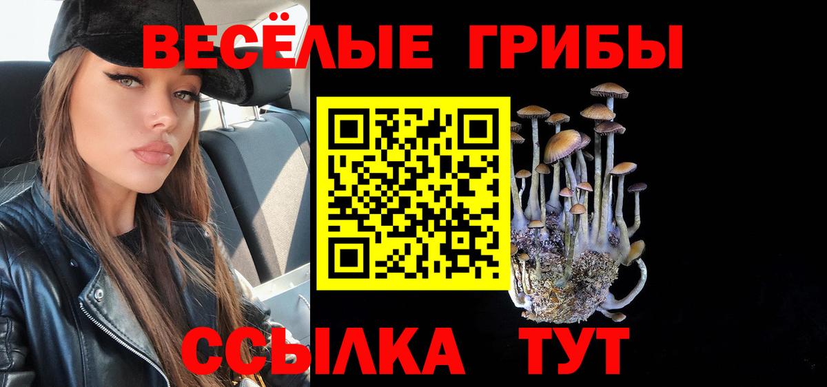 Псилоцибиновые грибы Psilocybine cubensis  Псилоцибиновые грибы GOLDEN TEACHER  Саянск  Вход с VPN 