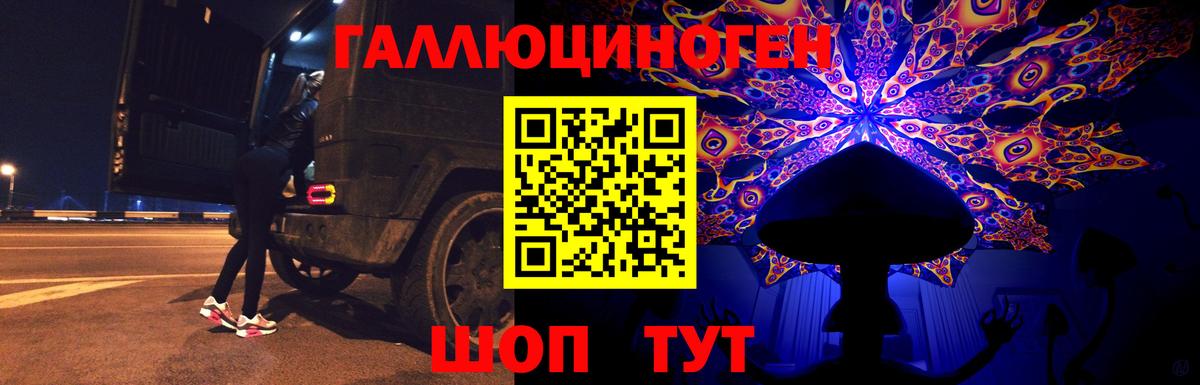 Псилоцибиновые грибы мухоморы Саянск
